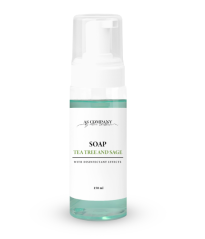 Antiseptischer Schaum, 150 ml